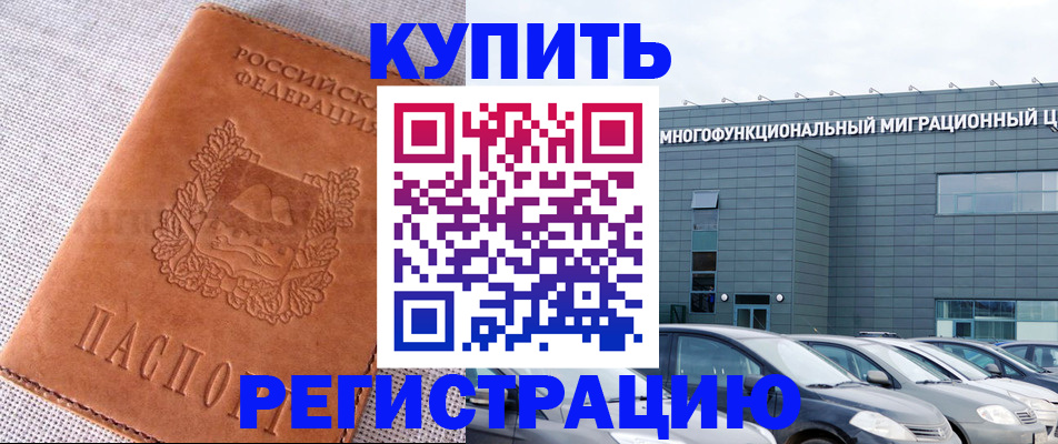 прописка законно в Курчалом